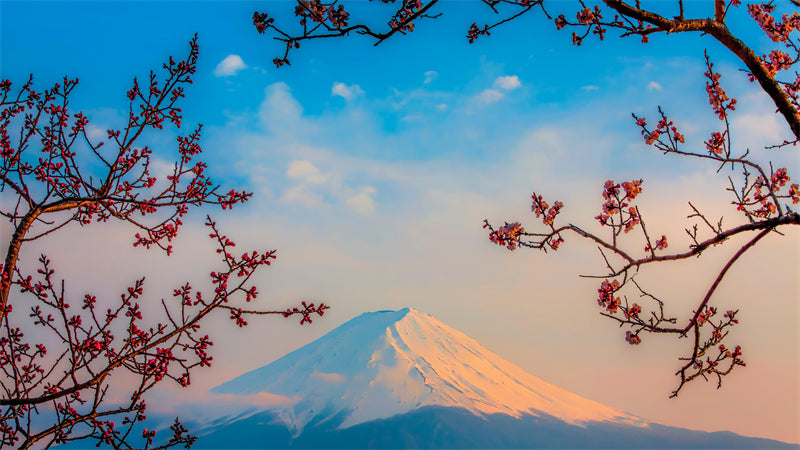 Fujiyama Mountain Wallpaper background - Photo Graphic Assets - Japan landscape - wallpaper Png/PSD/JPG/ Free Download