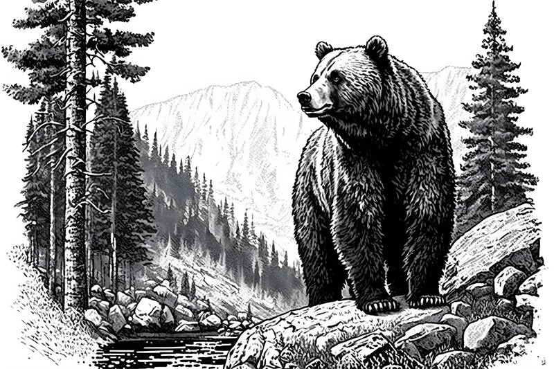 Illustration d'ours - Croquis - Téléchargement de logo
