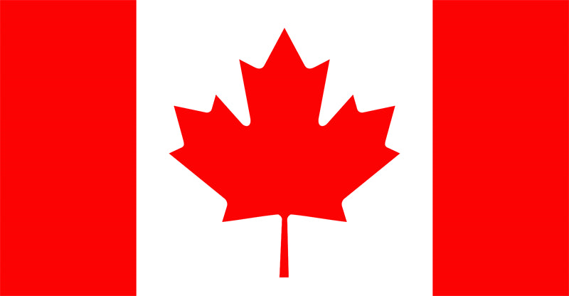 Canada Maple Elements - Illustration -Vector -Water Color Handdraw Background