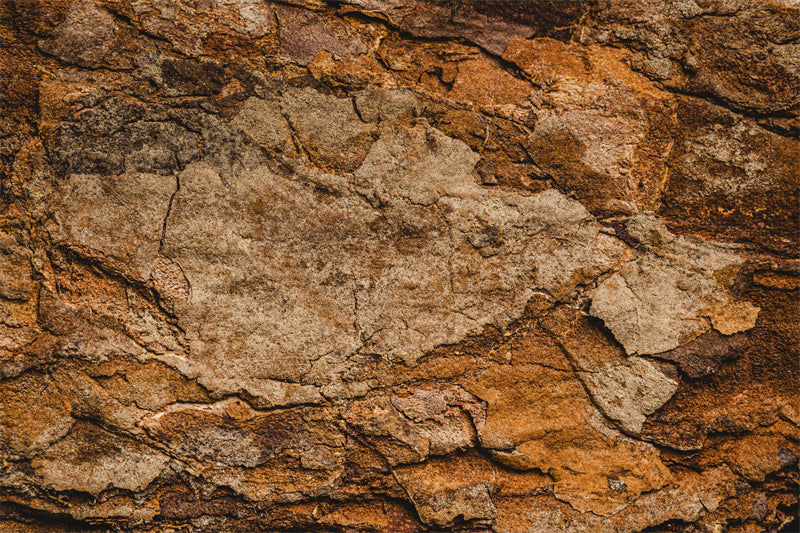 Texture de mur en pierre (PNG/JPG/PSD) - Fond en pierre - Papier peint - Texture de roche calcaire