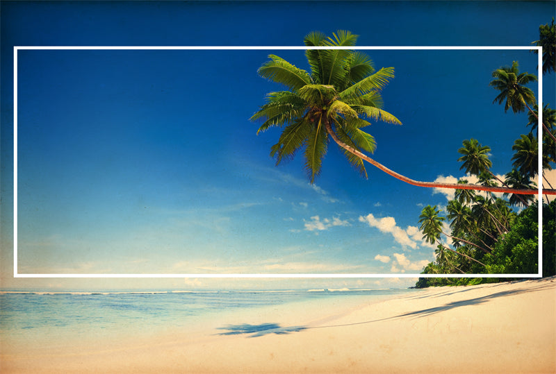 Paysage de bord de mer - Plage des Maldives avec palmiers - Plage tropicale des Caraïbes - Téléchargement gratuit en PNG/PSD/JPG