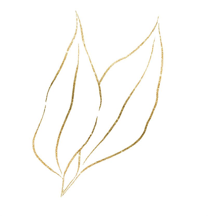 Texture de feuille dessinée à la main - Illustration - Conception de logo - Boules aux yeux flamboyants
