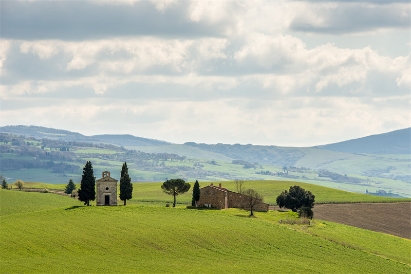 Photo Country Side Landscape - France - Blooming Violet field - valley - Png/PSD/JPG/ Free Download
