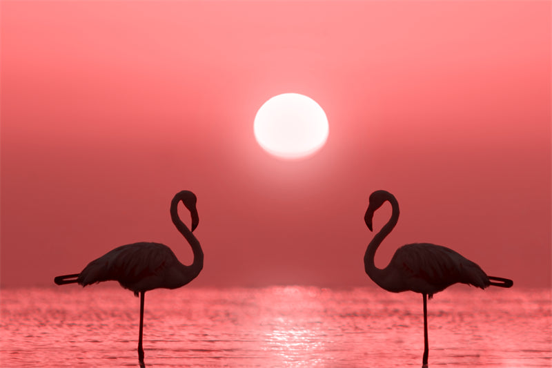Fond d'écran photo de flamant rose - Paysage animalier avec éléphants - Téléchargement gratuit (PSD/JPG)