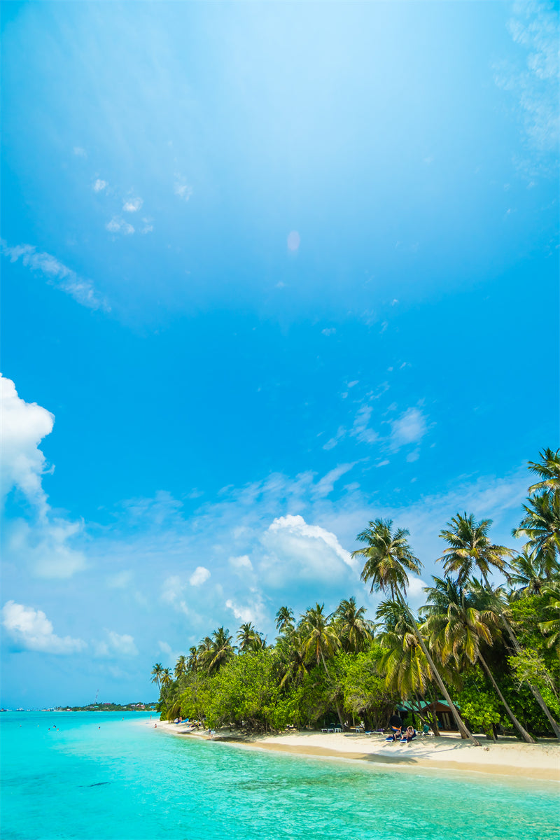 Paysage de bord de mer - Plage des Maldives avec palmiers - Plage tropicale des Caraïbes - Téléchargement gratuit en PNG/PSD/JPG