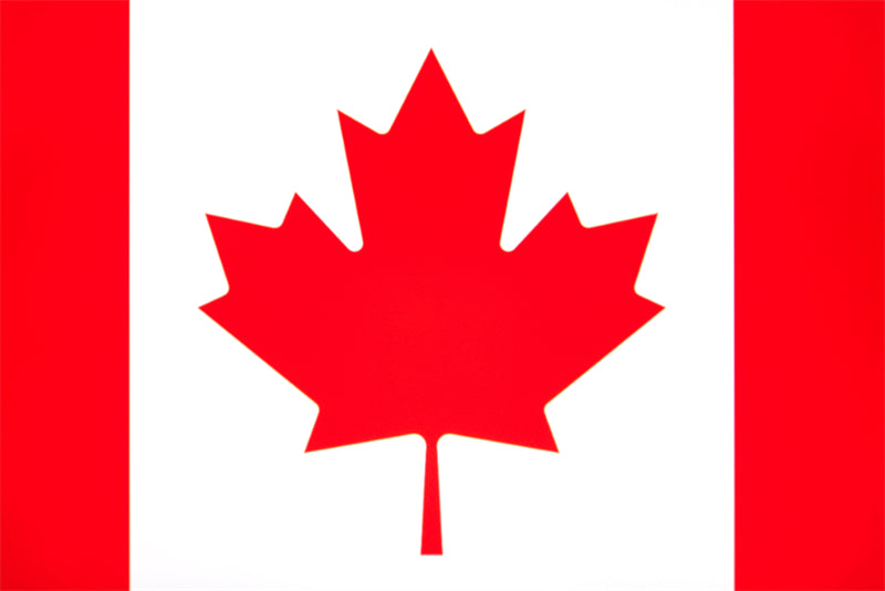 Canada Maple Elements - Illustration -Vector -Water Color Handdraw Background