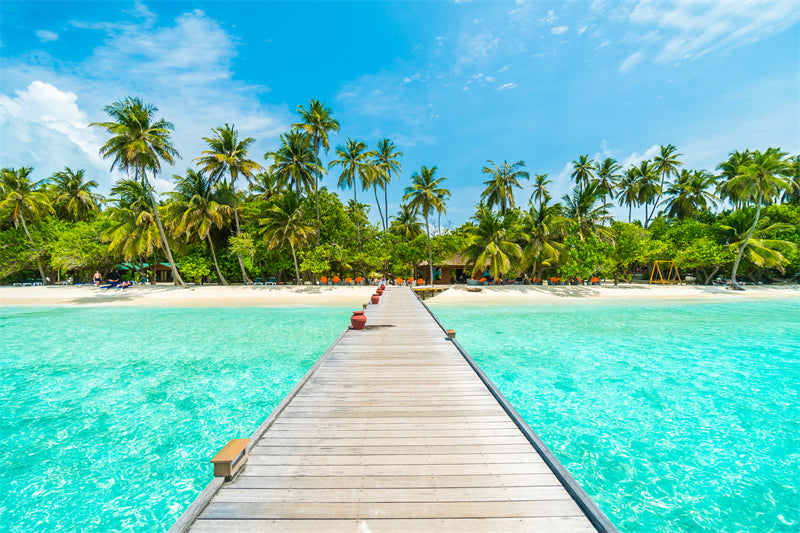 Paysage tropical de vacances d'été avec palmiers - Pont en bois - Île paradisiaque - Affiche de conception d'arrière-plan paysage naturel - Téléchargement gratuit en PNG/PSD/JPG