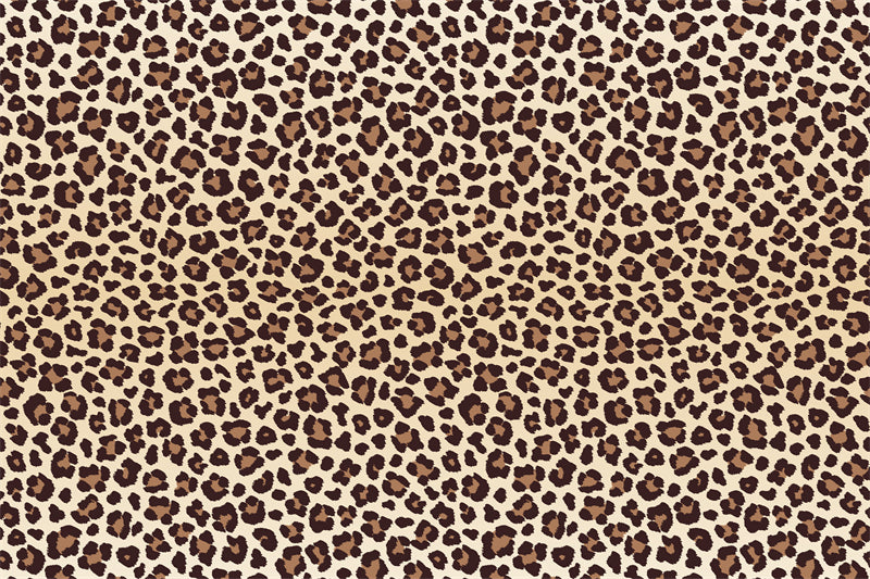 Jarguar Leopard Elements Skin Pattern - Texture - Illustration Free Download