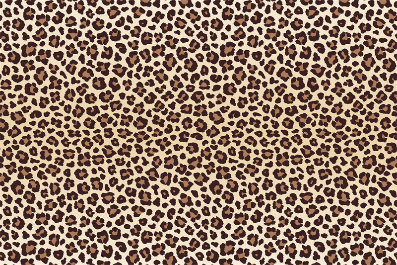 Motif de peau de léopard Jarguar - Texture - Illustration - Téléchargement gratuit