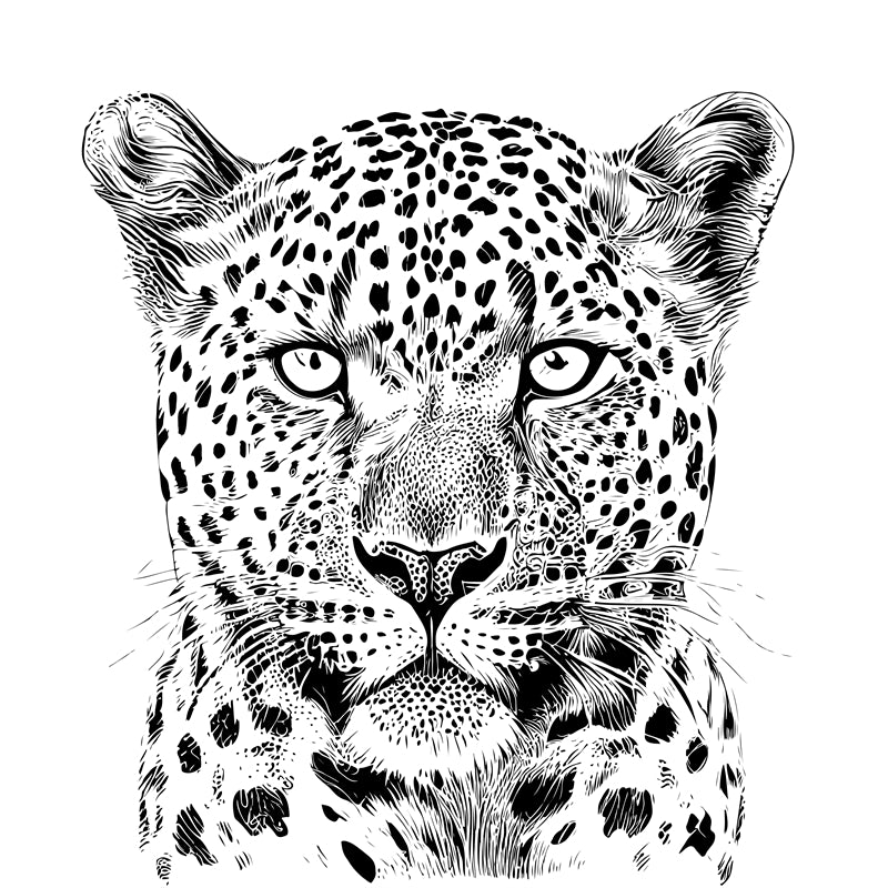  Jaguars - elements - handdraw -logo designs -sketch -illustration  