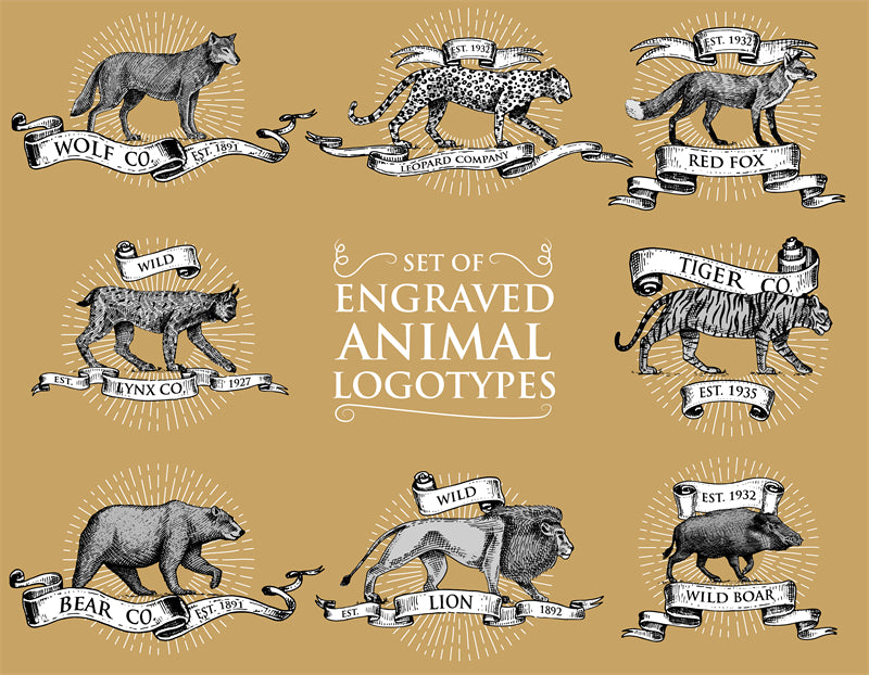  Jaguars - elements - handdraw -logo designs -sketch -illustration  