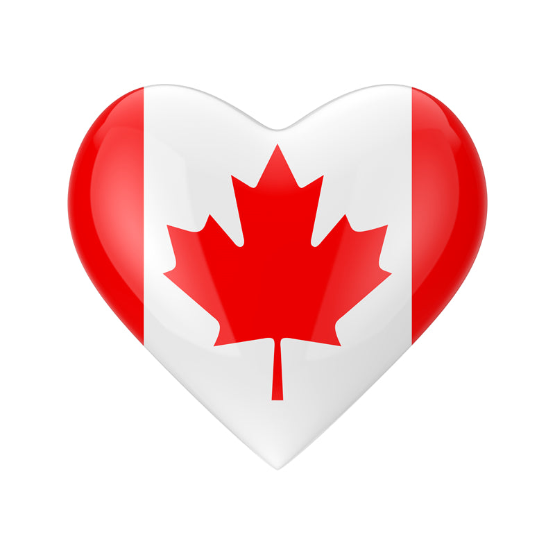 Canada Maple Elements - Illustration -Vector -Water Color Handdraw Background 