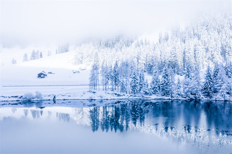 Seasonal Winter Forest - SNOW Covered - Winter Landscape - River - Png/PSD/JPG/ Free Download