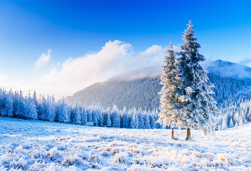 Seasonal Winter Forest - SNOW Covered - Winter Landscape - River - Png/PSD/JPG/ Free Download