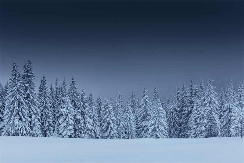 Seasonal Winter Forest - SNOW Covered - Winter Landscape - River - Png/PSD/JPG/ Free Download