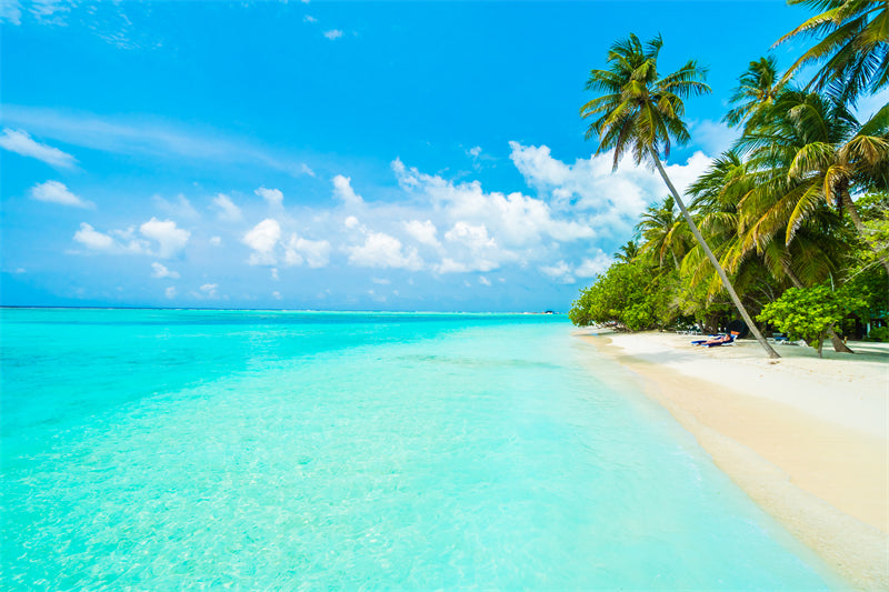 Paysage de bord de mer - Plage des Maldives avec palmiers - Plage tropicale des Caraïbes - Téléchargement gratuit en PNG/PSD/JPG