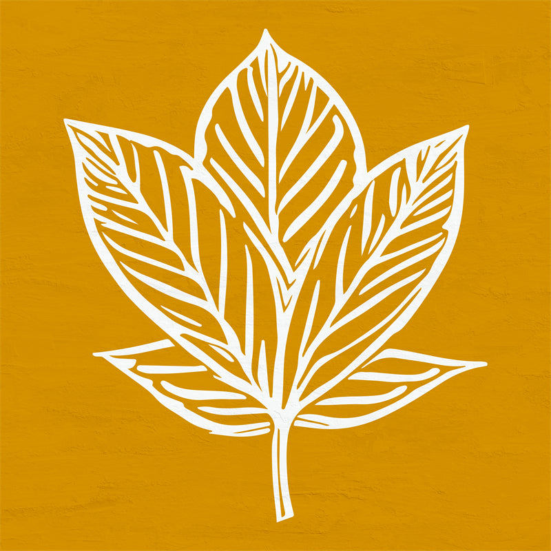 Texture de feuille dessinée à la main - Illustration - Conception de logo - Boules aux yeux flamboyants