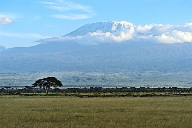 Kilimandjoro - Fond d'écran photo - Paysage africain - Téléchargement gratuit au format PNG/PSD/JPG