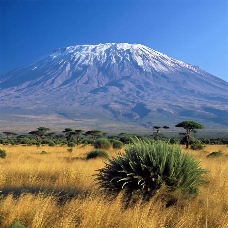 Kilimandjoro - Fond d'écran photo - Paysage africain - Téléchargement gratuit au format PNG/PSD/JPG
