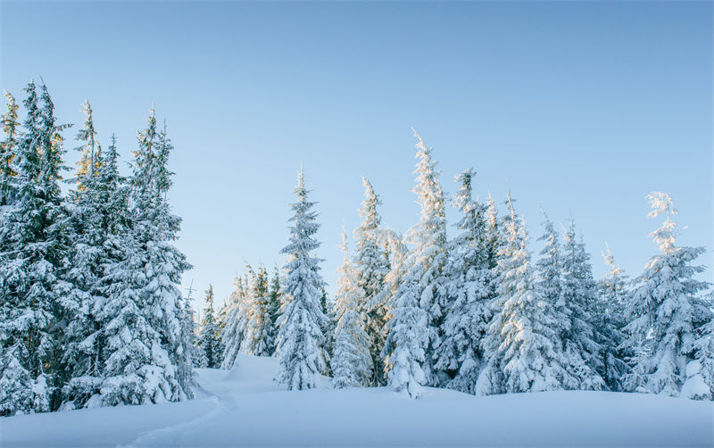Seasonal Winter Forest - SNOW Covered - Winter Landscape - River - Png/PSD/JPG/ Free Download