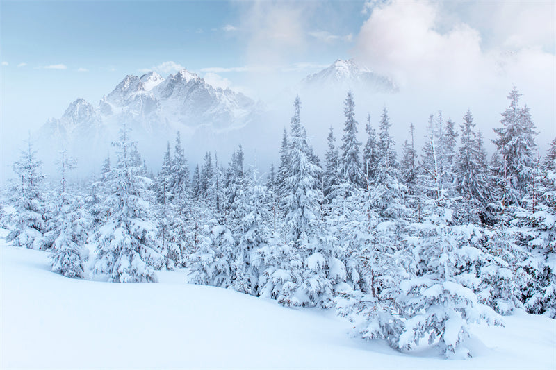 Seasonal Winter Forest - SNOW Covered - Winter Landscape - River - Png/PSD/JPG/ Free Download