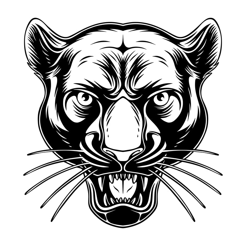  Jaguars - elements - handdraw -logo designs -sketch -illustration  