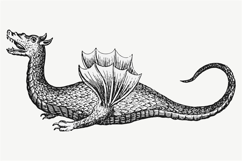 Dragon Elements - Free Vintage Vector - Logo  