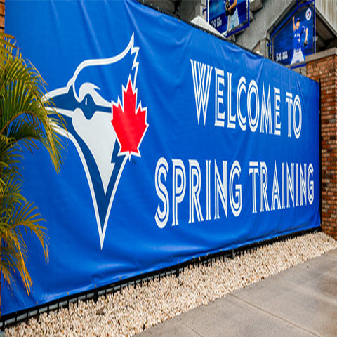 Vinyl Banner