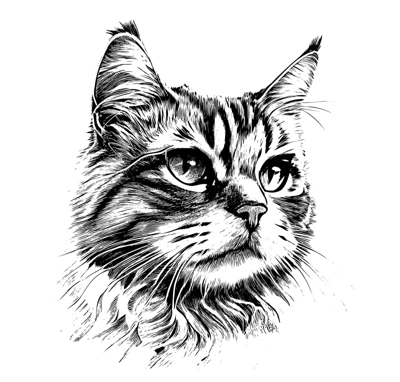 Cat Element Logo Vector design free 
