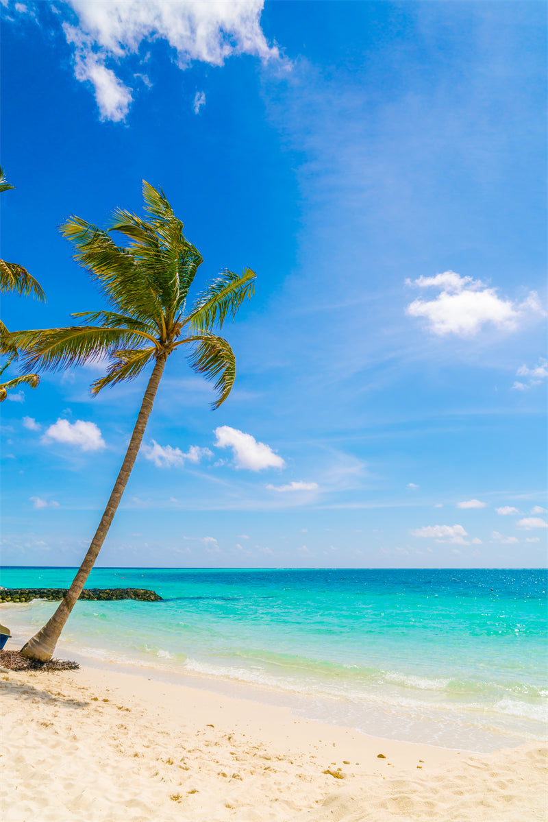 Paysage de bord de mer - Plage des Maldives avec palmiers - Plage tropicale des Caraïbes - Téléchargement gratuit en PNG/PSD/JPG