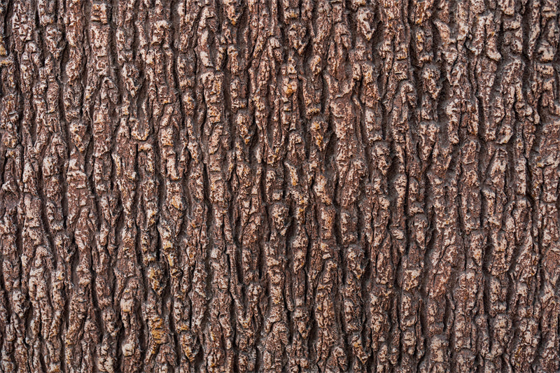 Texture d'écorce d'arbre - Gros plan sur les éléments d'écorce brune - Téléchargement gratuit d'images