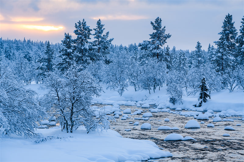 Seasonal Winter Forest - SNOW Covered - Winter Landscape - River - Png/PSD/JPG/ Free Download