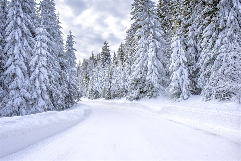 Seasonal Winter Forest - SNOW Covered - Winter Landscape - River - Png/PSD/JPG/ Free Download