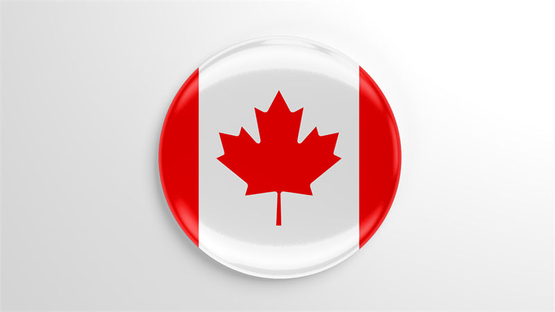 Canada Maple Elements - Illustration -Vector -Water Color Handdraw Background 