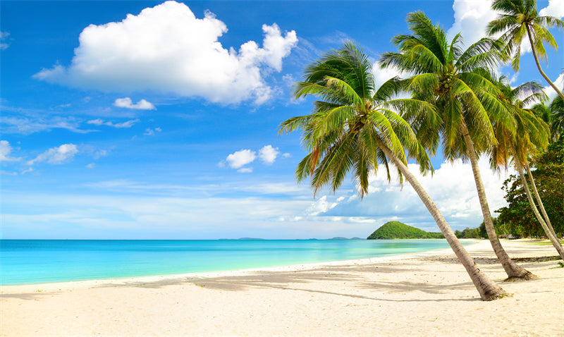 Paysage de bord de mer - Plage des Maldives avec palmiers - Plage tropicale des Caraïbes - Téléchargement gratuit en PNG/PSD/JPG