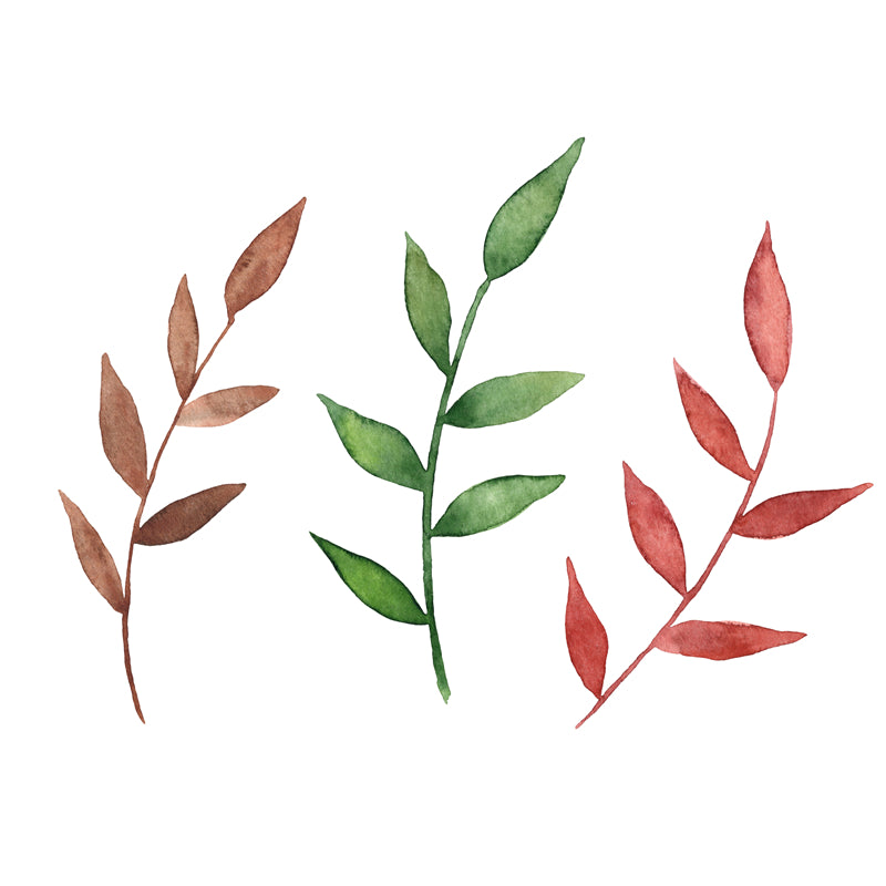 Feuille aquarelle dessinée à la main – Éléments de logo – Vecteur