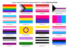Motifs de drapeaux de fierté arc-en-ciel LGBTQ+, drapeaux de jardin/cour, produits de bricolage
