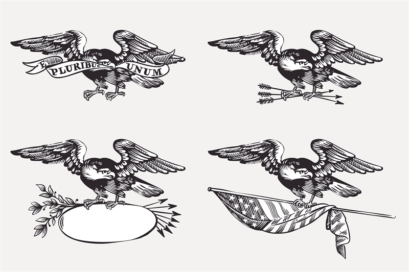 Éléments d'aigle à tête blanche des États-Unis - Illustration - Éléments de drapeau, badge, dessin vectoriel à la main