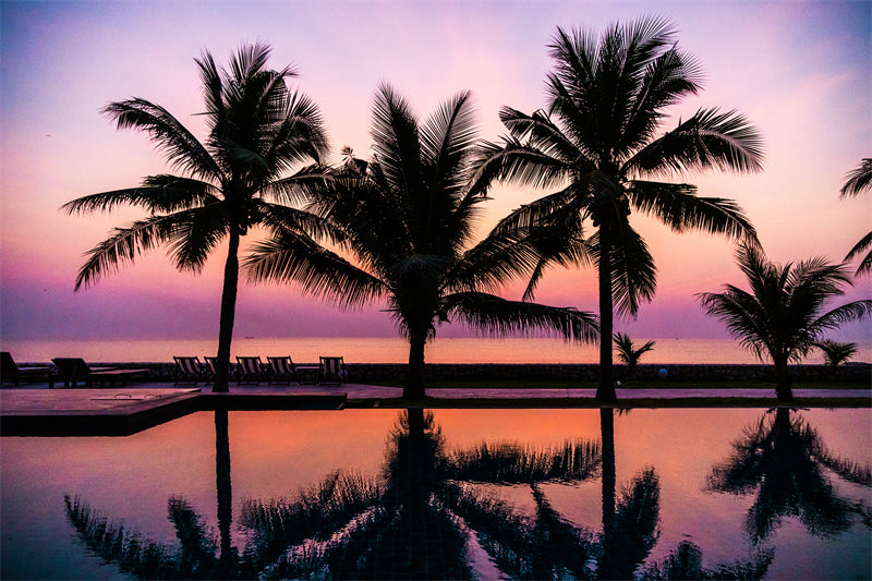 Seaside sunset at dawn - Palms tree silhouette -  Poster design background nature landscape - Png/PSD/JPG/ Free Download 