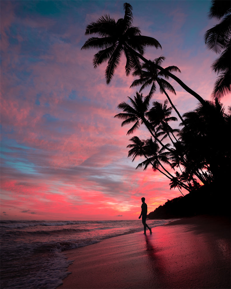Seaside sunset at dawn - Palms tree silhouette -  Poster design background nature landscape - Png/PSD/JPG/ Free Download 
