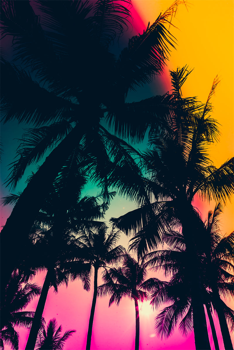 Seaside sunset at dawn - Palms tree silhouette -  Poster design background nature landscape - Png/PSD/JPG/ Free Download 