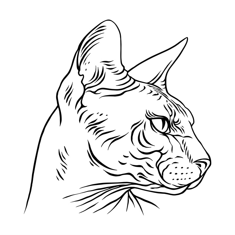 Cat Element Logo Vector design free 