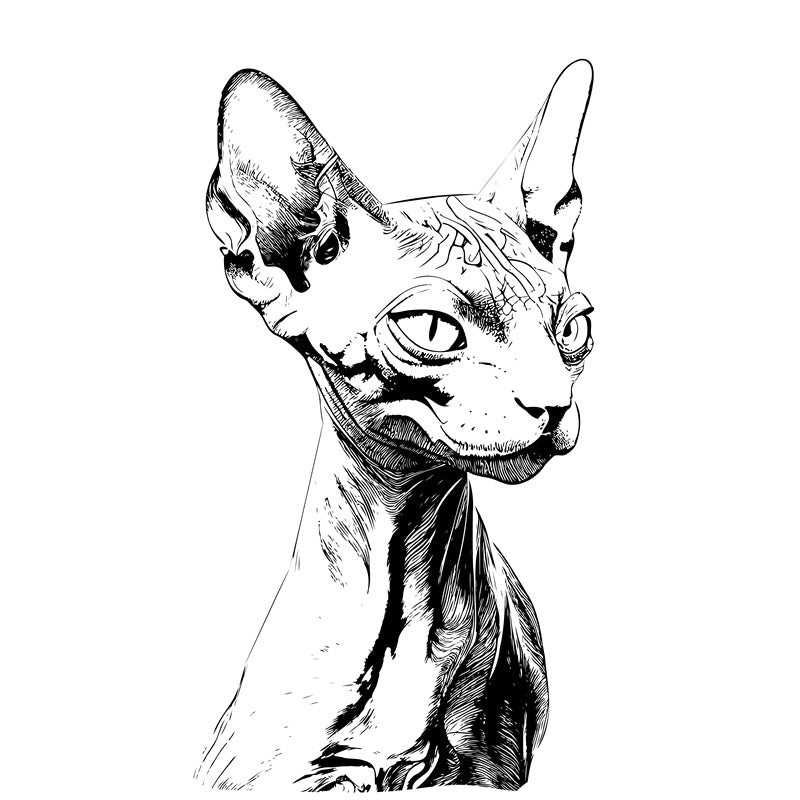 Cat Element Logo Vector design free 