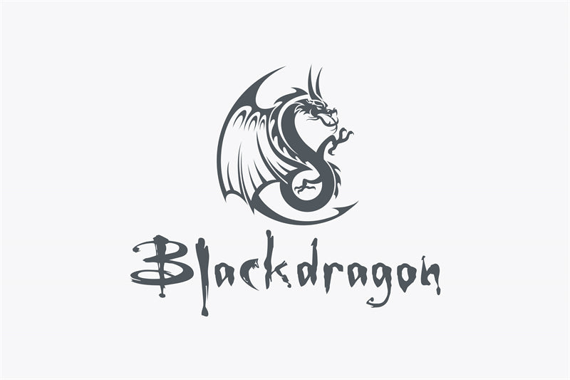 Dragon Logo Mockups - Badge - Icon Handdraw -Vector ELments  