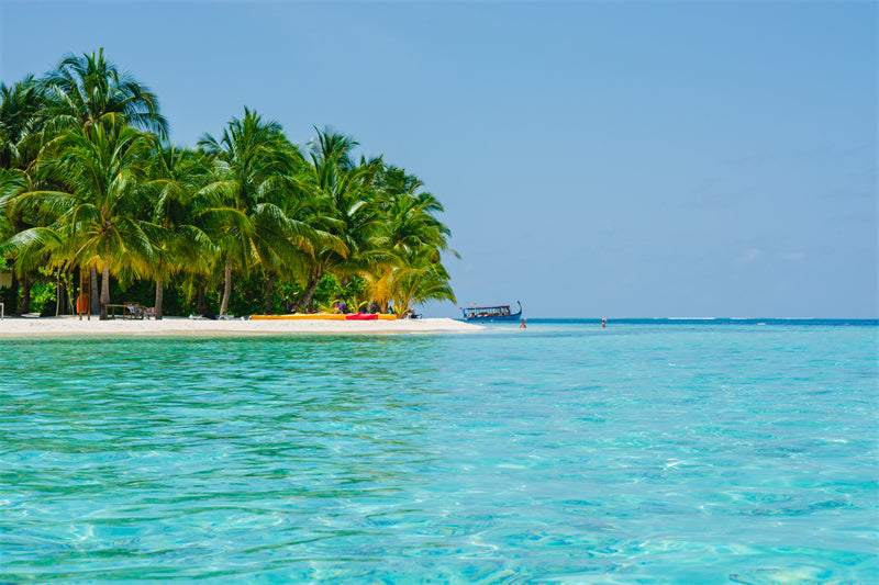 Paysage de bord de mer - Plage des Maldives avec palmiers - Plage tropicale des Caraïbes - Téléchargement gratuit en PNG/PSD/JPG