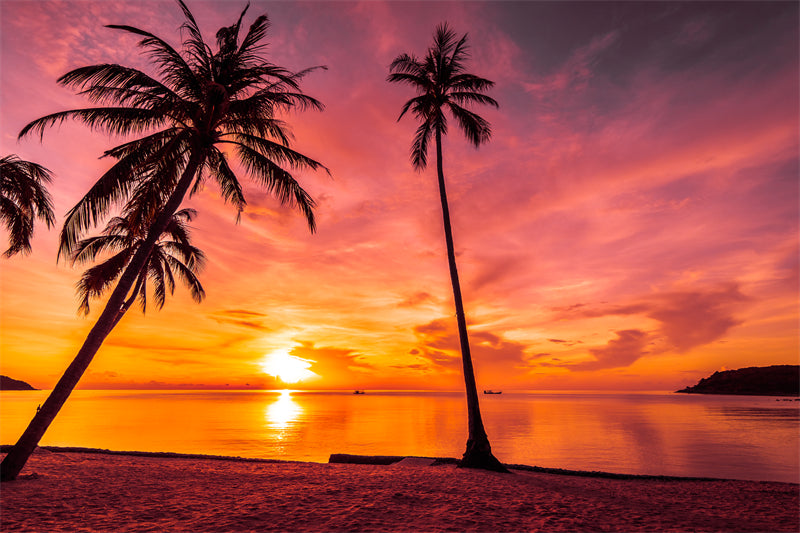 Seaside sunset at dawn - Palms tree silhouette -  Poster design background nature landscape - Png/PSD/JPG/ Free Download 