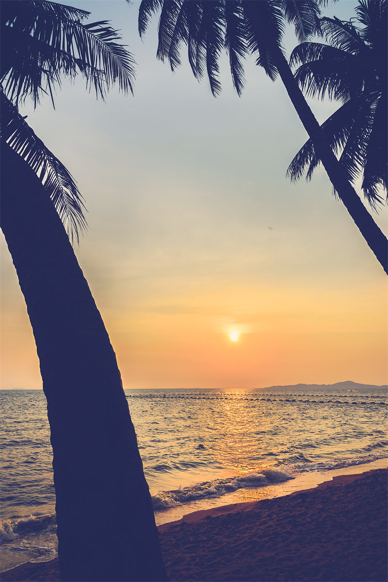 Seaside sunset at dawn - Palms tree silhouette -  Poster design background nature landscape - Png/PSD/JPG/ Free Download 