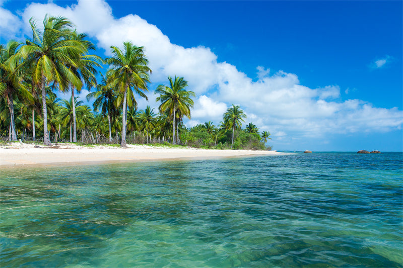 Paysage de bord de mer - Plage des Maldives avec palmiers - Plage tropicale des Caraïbes - Téléchargement gratuit en PNG/PSD/JPG