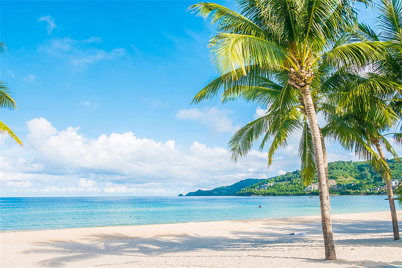 Paysage de bord de mer - Plage des Maldives avec palmiers - Plage tropicale des Caraïbes - Téléchargement gratuit en PNG/PSD/JPG