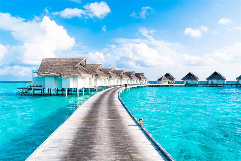 Tourist Maldives - Seaside island beach ocean landscape - photo wallpaper background - Png/JPG/ Free Download